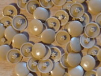 Abdeckkappen InnenStern Gr.15 eiche / hell - 50 Stück