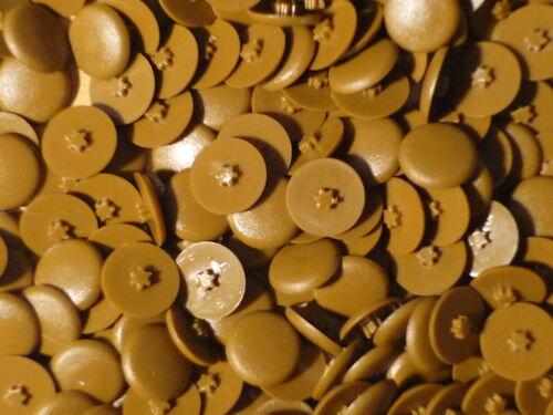 Abdeckkappen InnenStern Gr.20 eiche / rustikal  - 50 Stück