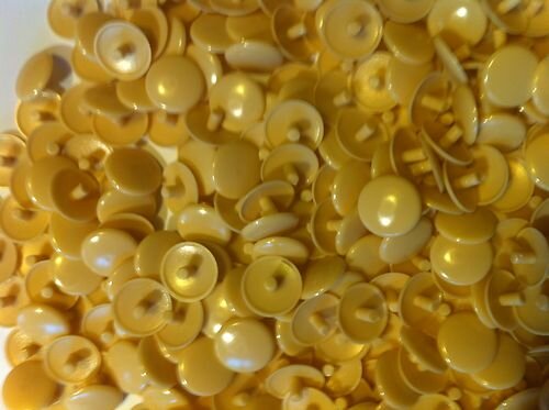 Abdeckkappen Biege 12/2,4 für Schrauben mit Kopfloch 50 Stück