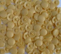 Abdeckkappen PZ 2 kiefer Farb Nr.52 - 50 Stück