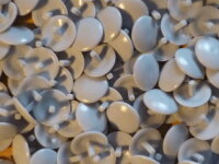 Abdeckkappen Lichtgrau 12/2,4 für Schrauben mit...