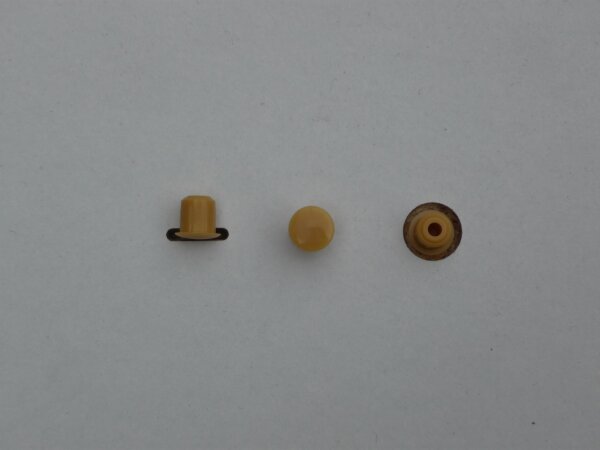 Zapfen 6mm AussenØ 8mm - Biege - 50 St.