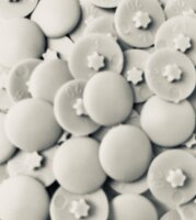 Abdeckkappen InnenStern Gr.20 Lichtgrau RAL7035 - 50...